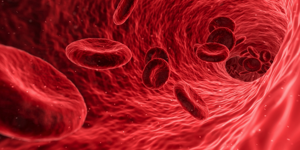 Blutkreis - rote Blutkörperchen