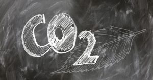 Kohlendioxid Lernzielkontrolle