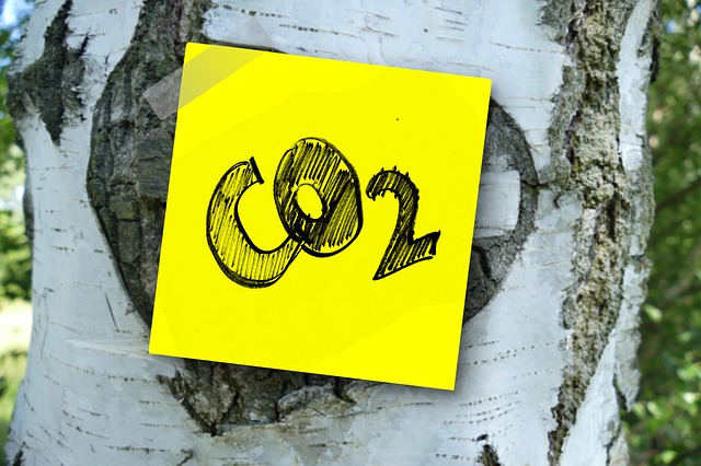 Kohlenstoffdioxid Definition 