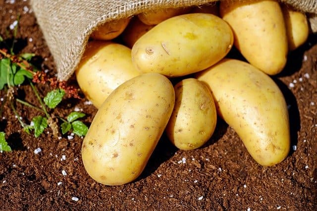 VS Flächeninhalt Rechteck Kartoffelacker