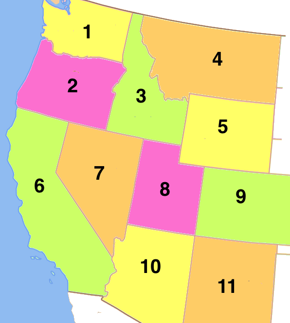 USA Bundesstaaten Kartenübung 1