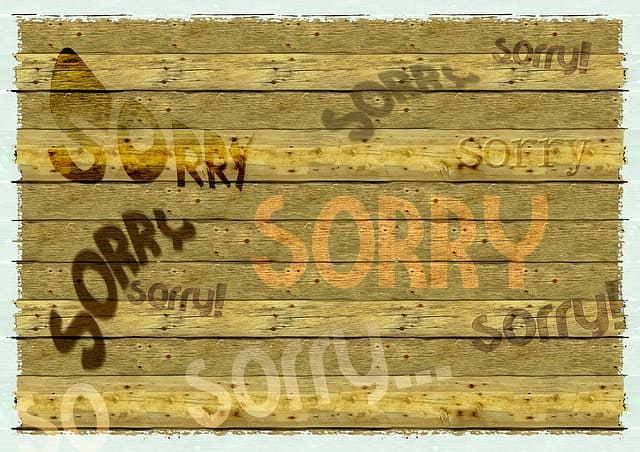 Verb sich entschuldigen 